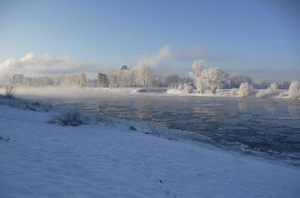 Blick zur winterlichen Elbe               